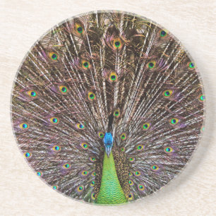 Peacock Untersetzer