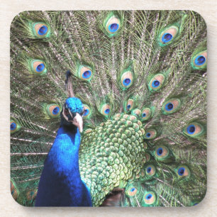 Peacock-Untersetzer Getränkeuntersetzer