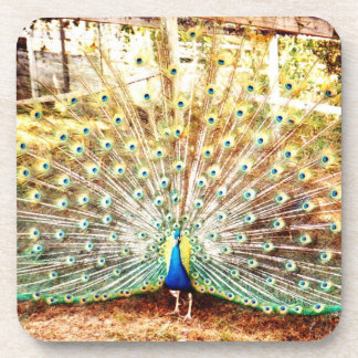 Peacock-Untersetzer Untersetzer