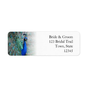 Peacock Wedding Theme 1