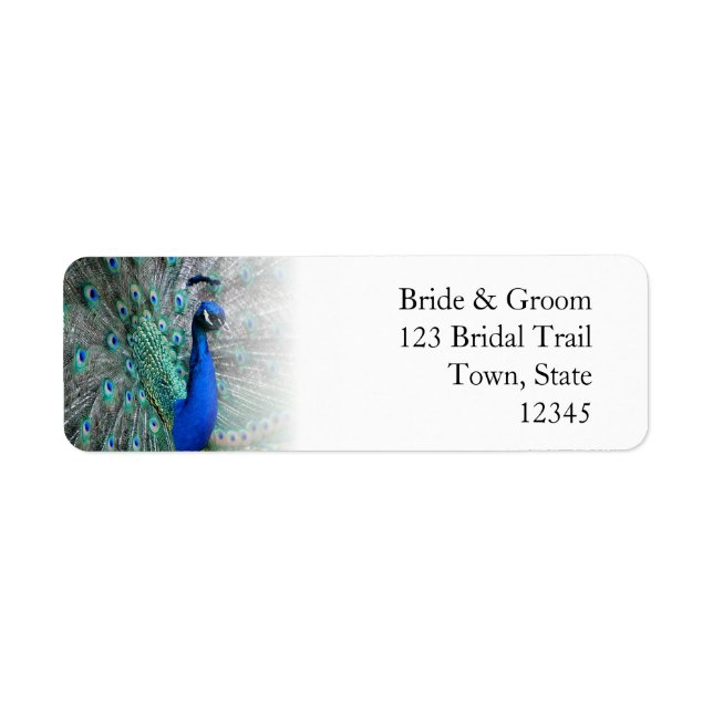 Peacock Wedding Theme 1 (Vorne)