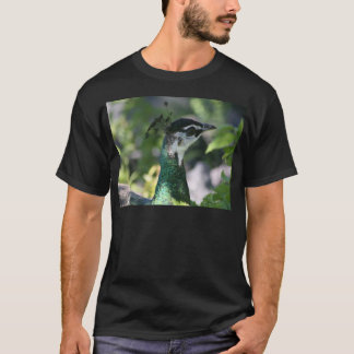 Peahen Profil T-Shirt