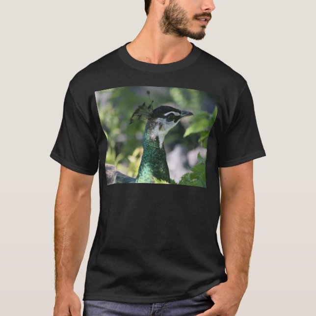 Peahen Profil T-Shirt (Vorderseite)