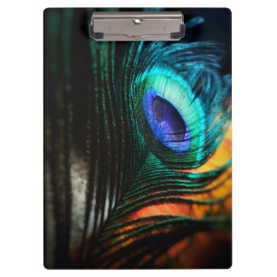 Peakcock Feather up nah und Personal Klemmbrett
