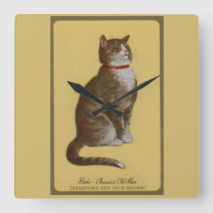 Peake, Chessie’s Old Man tomcat tabby cat Quadratische Wanduhr