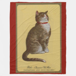 Peake, Chessie's Old Man Tomcat Tabbykatze Fleecedecke