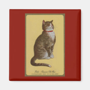 Peake, Chessie's Old Man Tomcat Tabbykatze Magnet