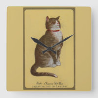 Peake, Chessie's Old Man Tomcat Tabbykatze