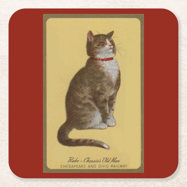 Peake, Chessie's Old Man Tomcat Tabbykatze Rechteckiger Pappuntersetzer (Vorderseite)