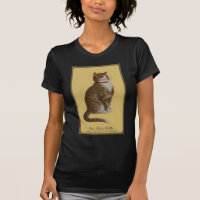 Peake, Chessie's Old Man Tomcat Tabbykatze