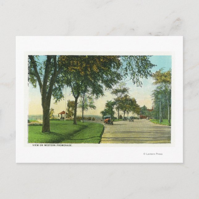 Peaks Island View of Pumpkin Knob Postkarte (Vorderseite)