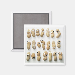 Peanu Magnet