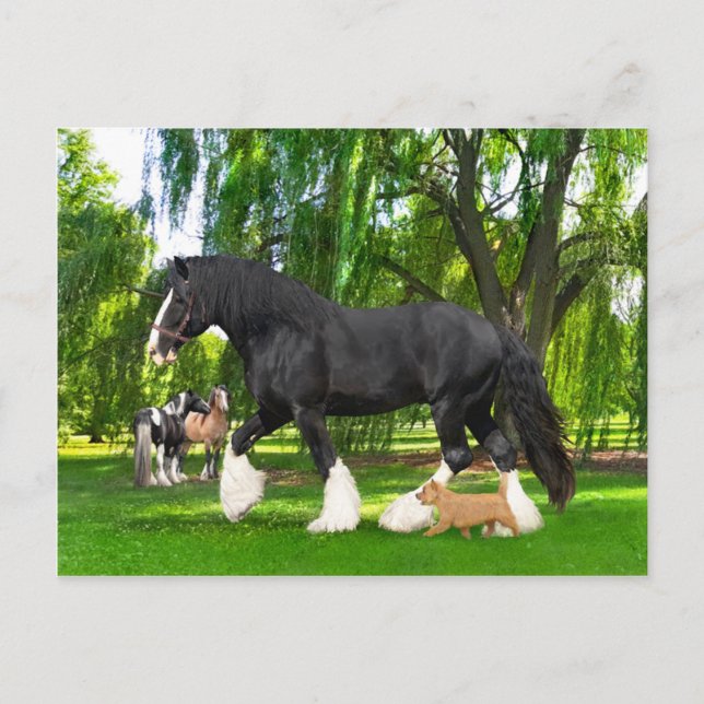 "Peanut & Blackbird"  Postkarte (Vorderseite)