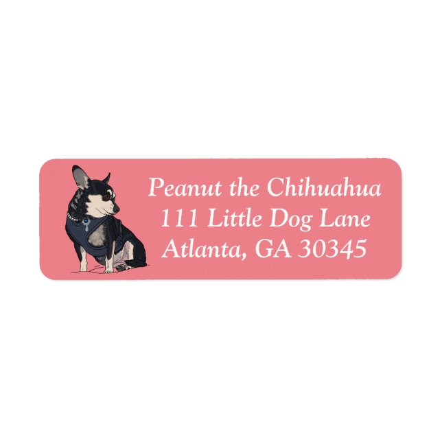 Peanut the Chihuahua Address Labels (Vorne)