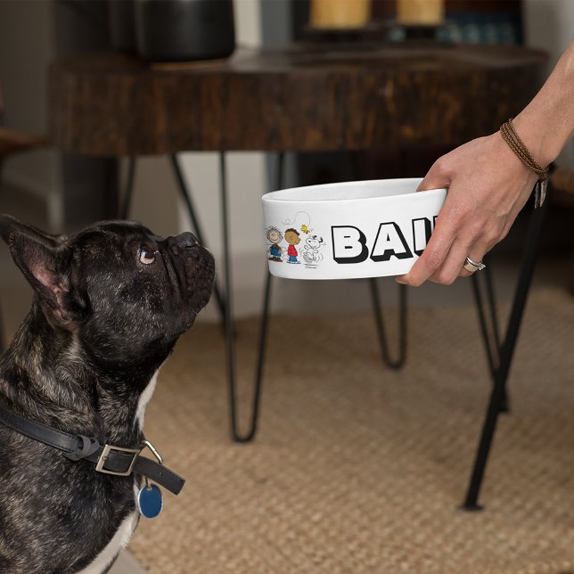 Peanuts Gang Group Lineup Napf (Von Creator hochgeladen)