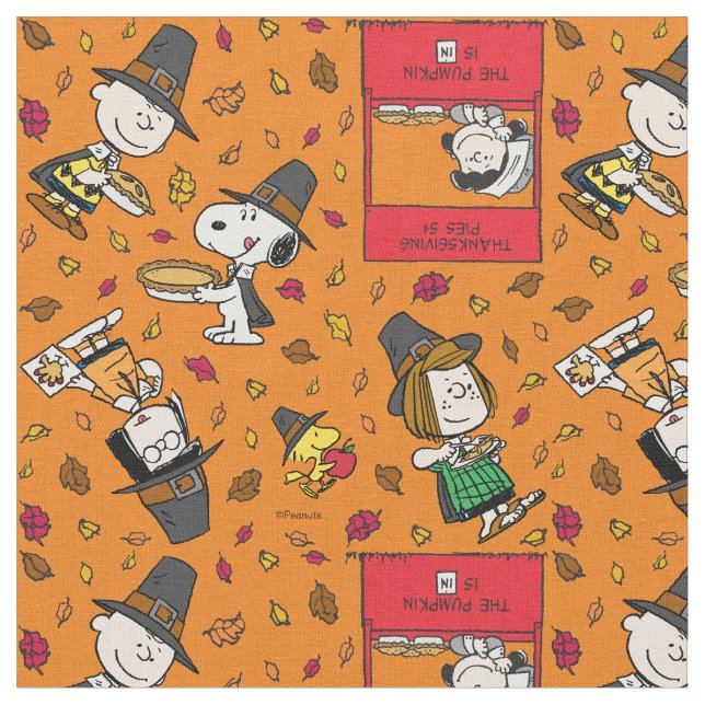 Peanuts Gang Pilgrim Thanksgiving Stoff (Nahaufnahme)