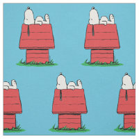 Peanuts | Snoopy beim Schlafen