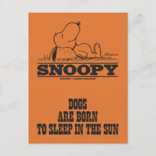 Peanuts Snoopy schläft in der Sonne Postkarte