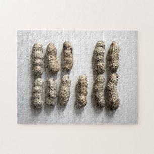 Peanuts Still Life Fine Art Fotograf Puzzle