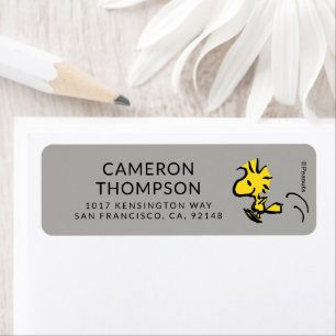 Peanuts   Woodstock Jumping