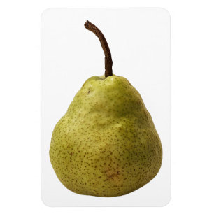 Pear Fruit Foto Magnet