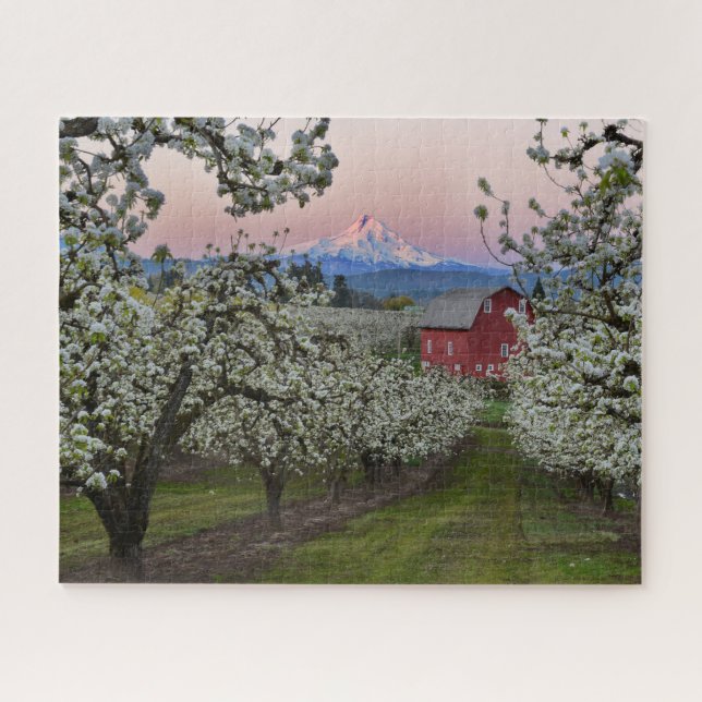 Pear Orchard in Bloom with Barn near Mount Hood Puzzle (Horizontal)