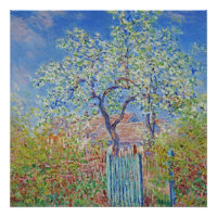 Pear Tree in Blume - Claude Monet
