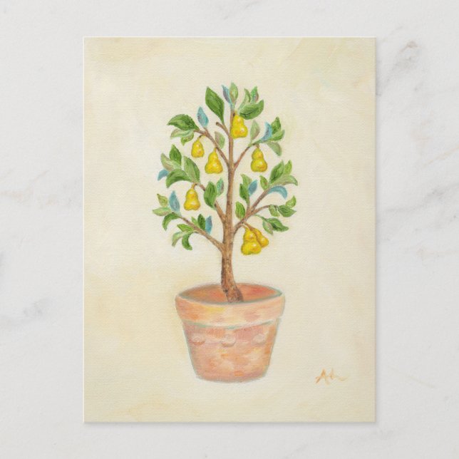 Pear Tree Postcard Postkarte (Vorderseite)