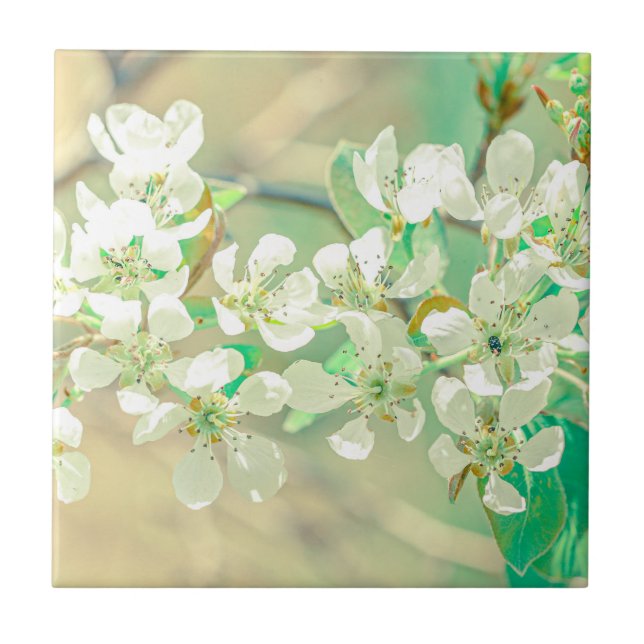 Pear Tree Spring Positive Vibes Blätter Blume Fliese (Vorderseite)
