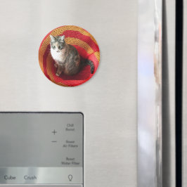 Pearl Cat über Afghanistan Magnet