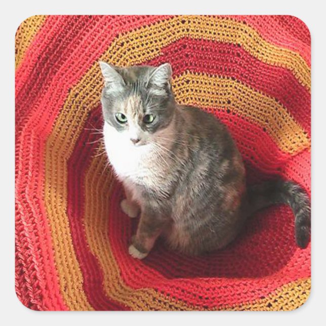 Pearl Cat über Afghanistan Quadratischer Aufkleber (Vorderseite)