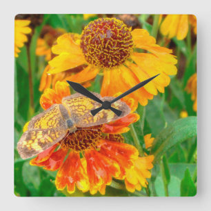 Pearl Crescent Butterfly auf Sneezeweed Quadratische Wanduhr