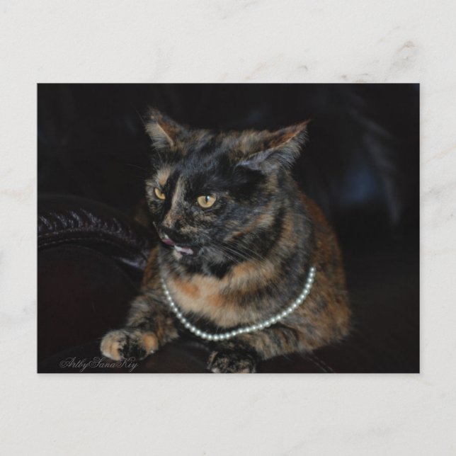 Pearl.Postcard. Postkarte (Vorderseite)