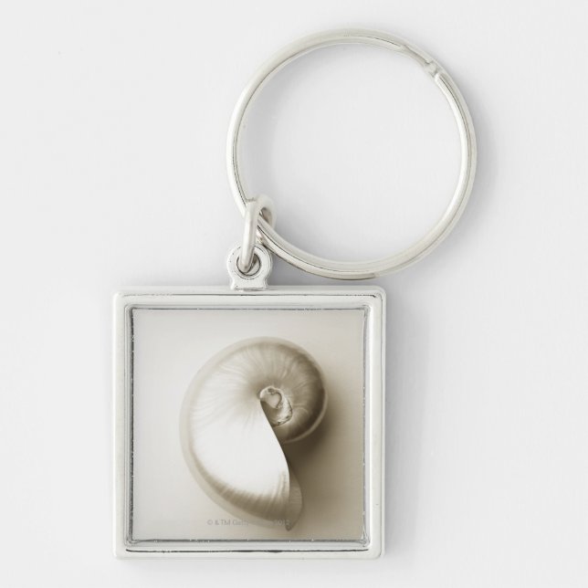 Pearlised NautilusseeMuschel 2 Schlüsselanhänger (Vorne)
