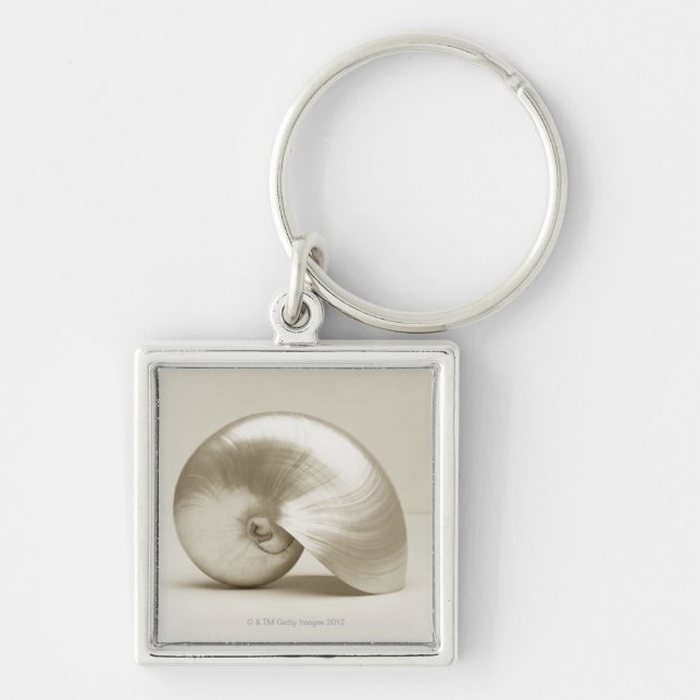 Pearlised NautilusseeMuschel Schlüsselanhänger (Vorne)