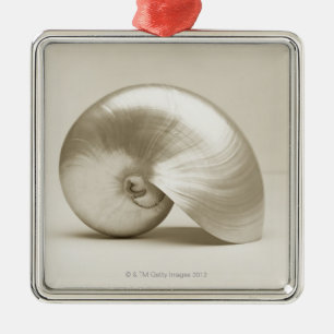 Pearlised NautilusseeMuschel Silbernes Ornament