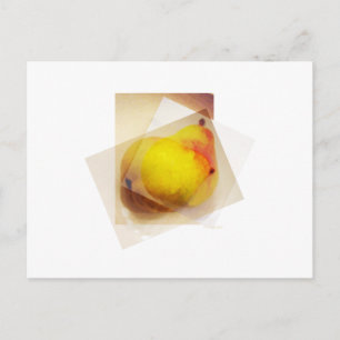 PEARS POSTKARTE