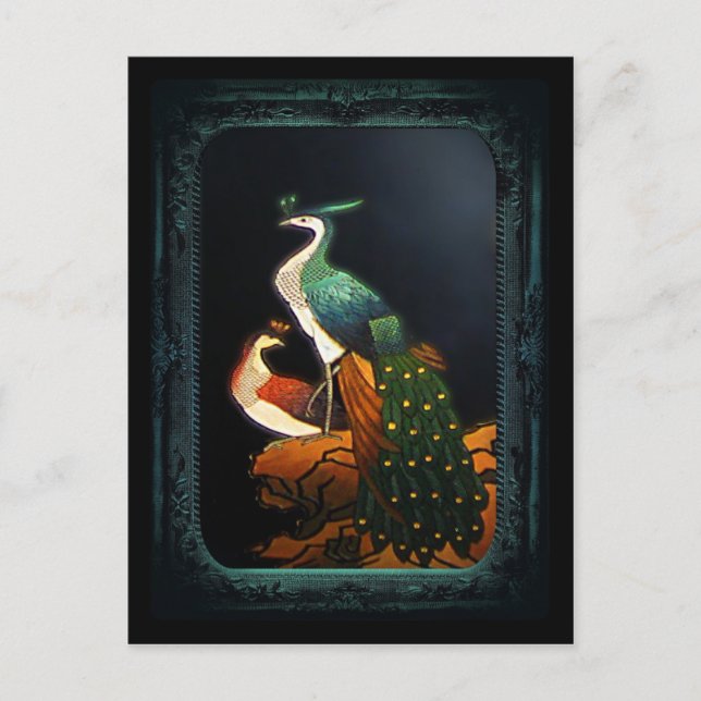 PeaSoot Postcard Postkarte (Vorderseite)