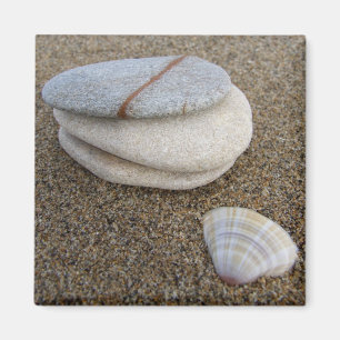 Pebble Muschel Magnet