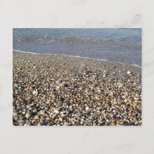 Pebble Seashore Postcard Postkarte