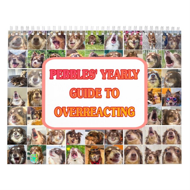 Pebbles' Calendar Kalender (Titelbild)