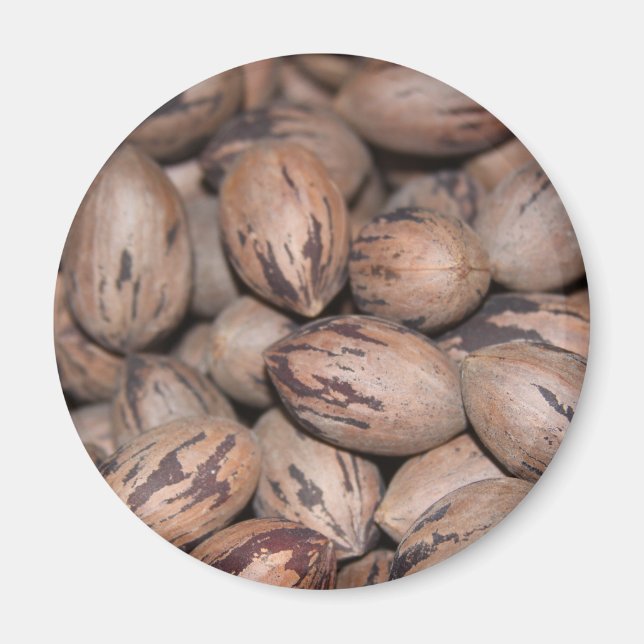 Pecan Magnet (Vorne)