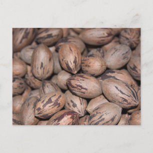 Pecan Postcard Postkarte