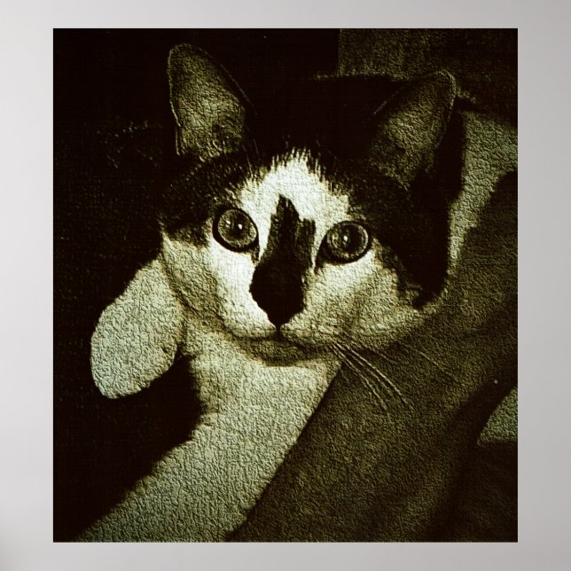 Pech gehabt. poster (Vorne)