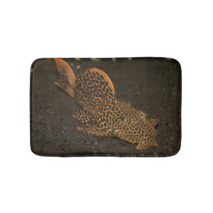 Peckoltia Compta Badematte