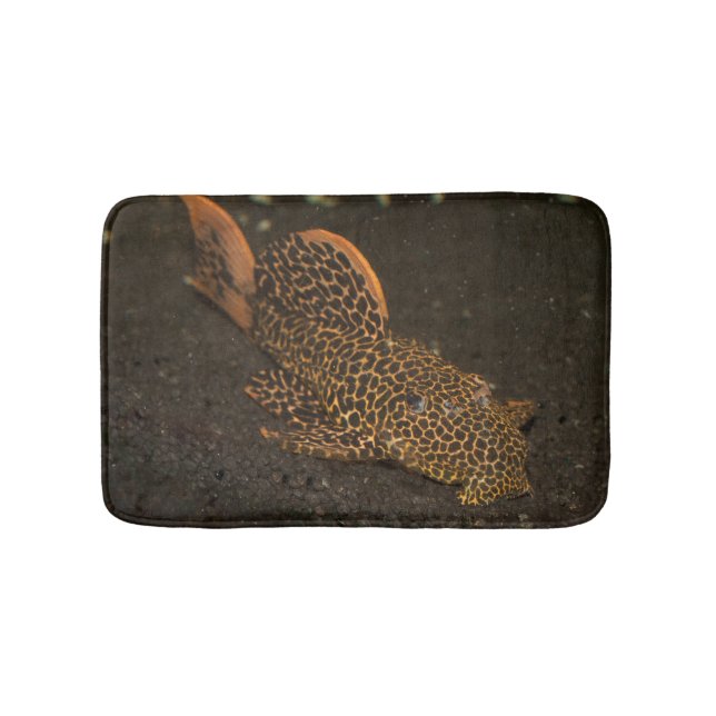 Peckoltia Compta Badematte (Vorderseite)