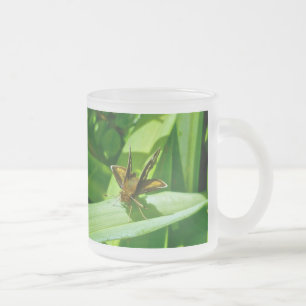 Peck's Skipper Butterfly Mattglastasse