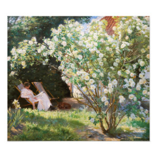 Peder Severin Kroyer - Rose Fotodruck