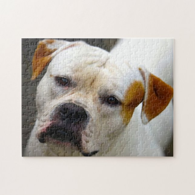 Pedigree Bulldog. Puzzle (Horizontal)