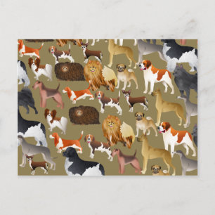 Pedigree Dog Wallpaper Postkarte